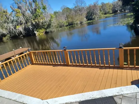 806 Palm Harbor Court Leesburg FL 34748