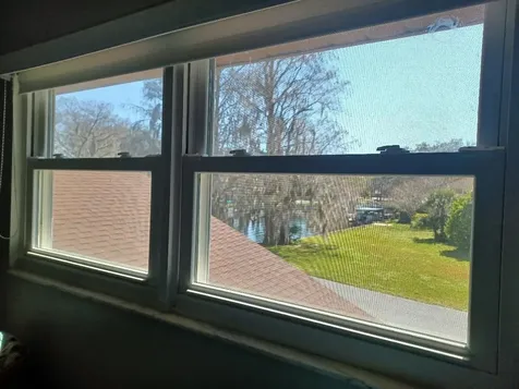 806 Palm Harbor Court Leesburg FL 34748