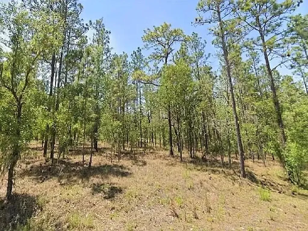 0 NW Tree Top #9 Road Dunnellon FL