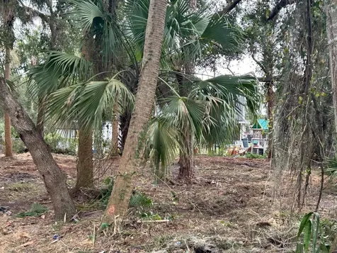 Xxxx Fiske Rockledge FL 32955