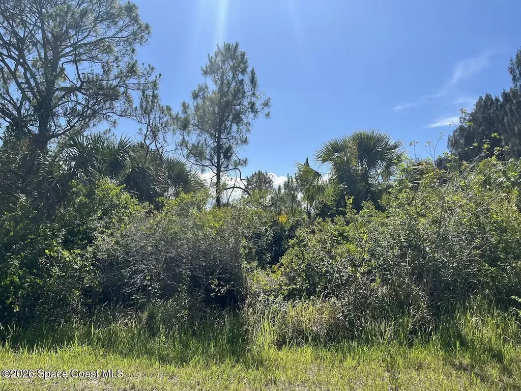 2764 Valentine Avenue SW Palm Bay FL 32908