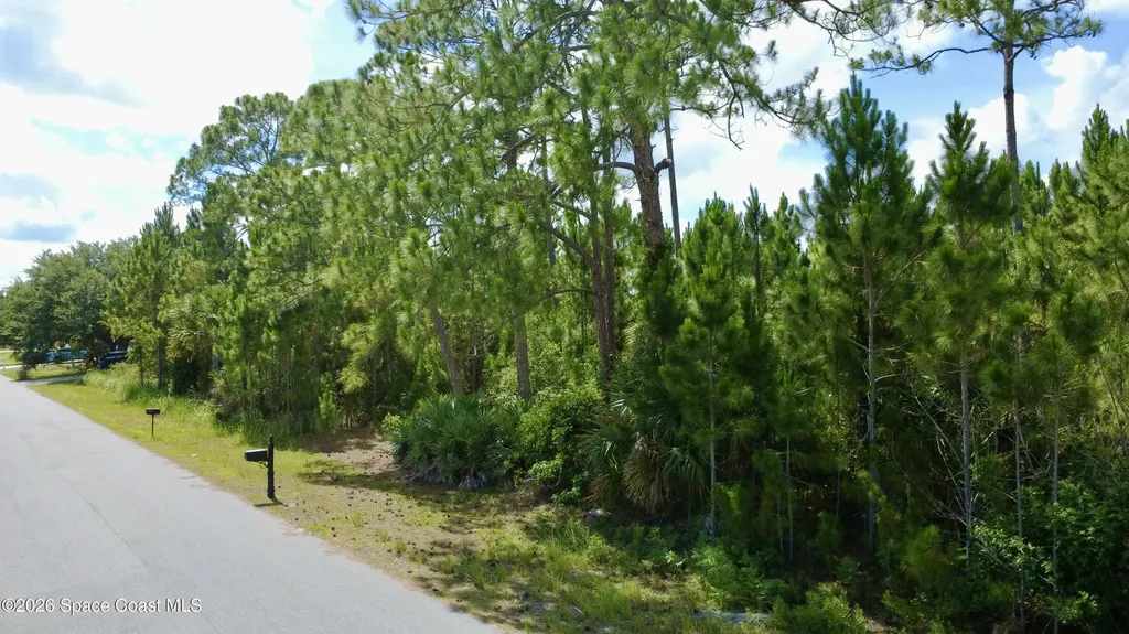 455 Dadeville Street SE Palm Bay FL 32909