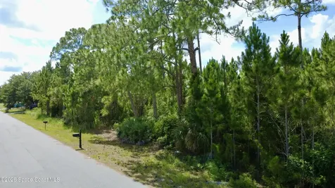 455 Dadeville Street SE Palm Bay FL 32909