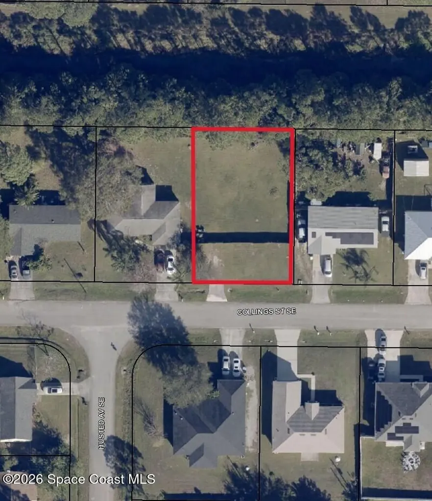 Tbd Collings Street SE Palm Bay FL 32909