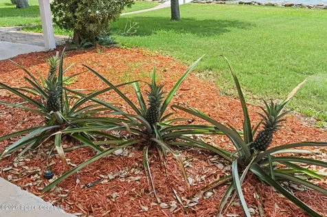 3028 Newfound Harbor Drive Merritt Island FL 32952