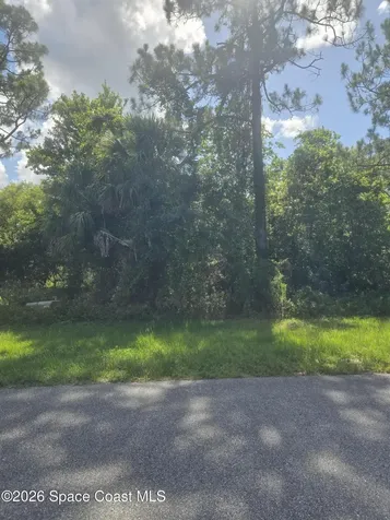 3906 Rambling Acres Drive Titusville FL 32780