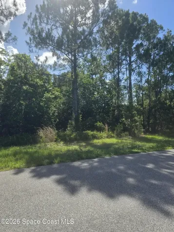 3912 Rambling Acres Drive Titusville FL 32796