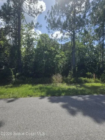 3912 Rambling Acres Drive Titusville FL 32796