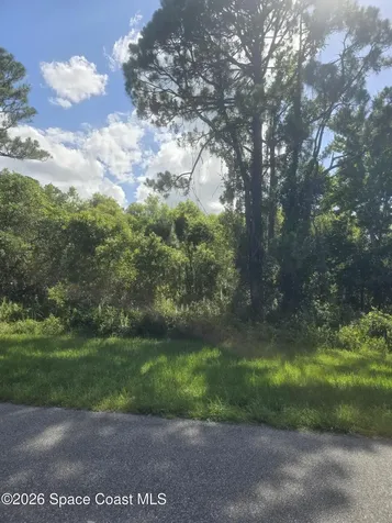 3912 Rambling Acres Drive Titusville FL 32796