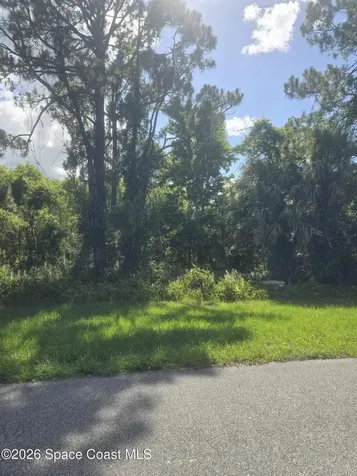 3912 Rambling Acres Drive Titusville FL 32796