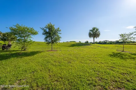 3628 Loggerhead Lane Mims FL 32754