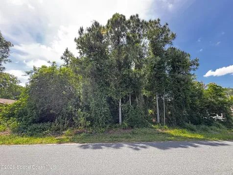 2172 Rockabye Avenue SE Palm Bay FL 32909