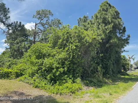 2172 Rockabye Avenue SE Palm Bay FL 32909