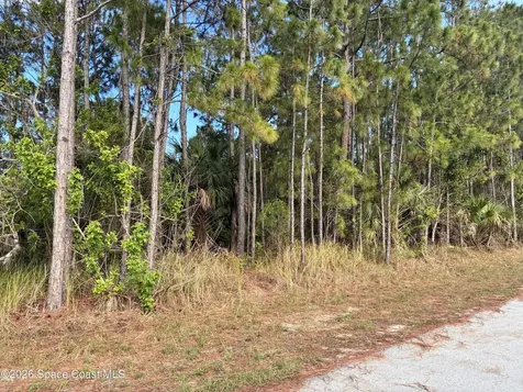 0 SE Ulster/union Street SE Palm Bay FL 32909