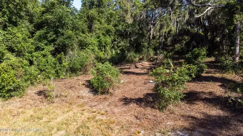 4785 Harrison Road Mims FL 32754