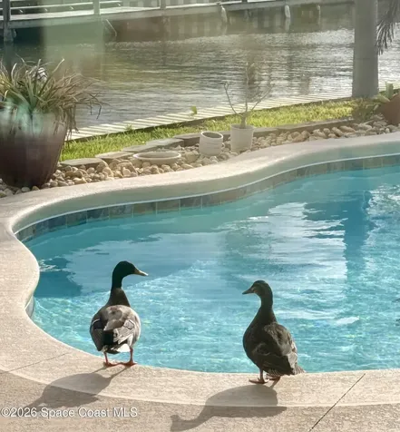 400 Port Royal Boulevard Satellite Beach FL 32937