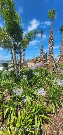 1379 Bluewater Lane Rockledge FL 32955