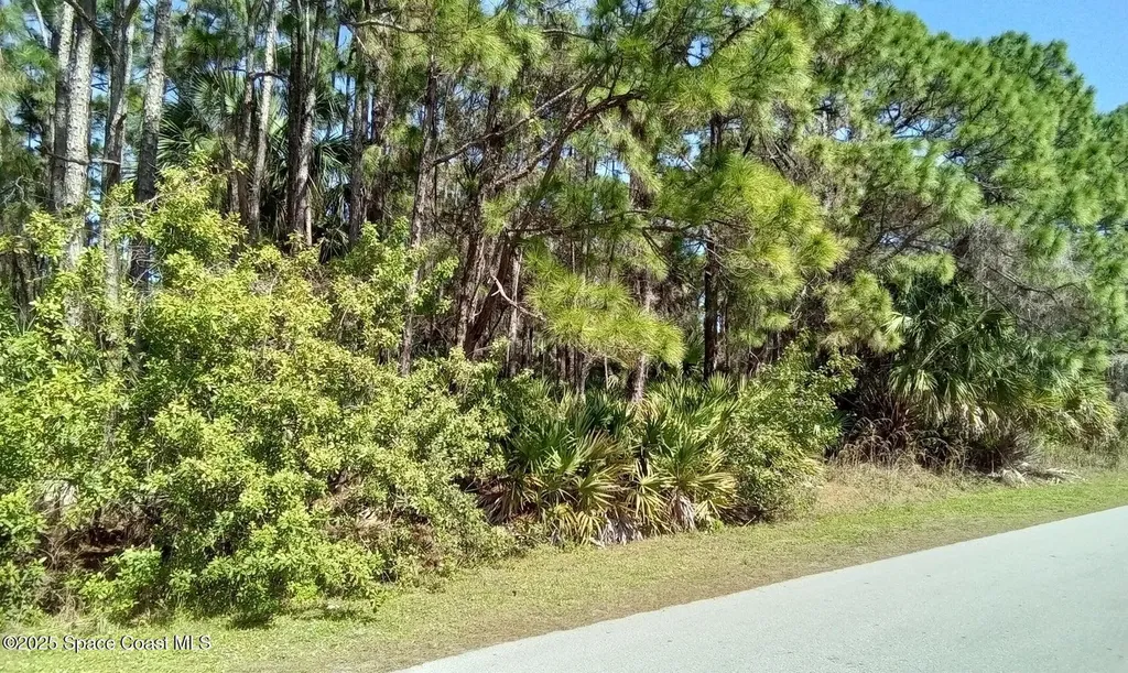 473 Galhouse Street SW Palm Bay FL 32908