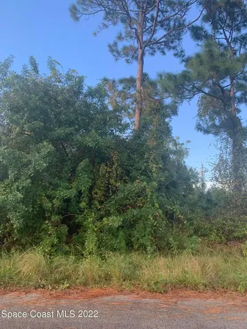 761 Indigo Street SE Palm Bay FL 32909