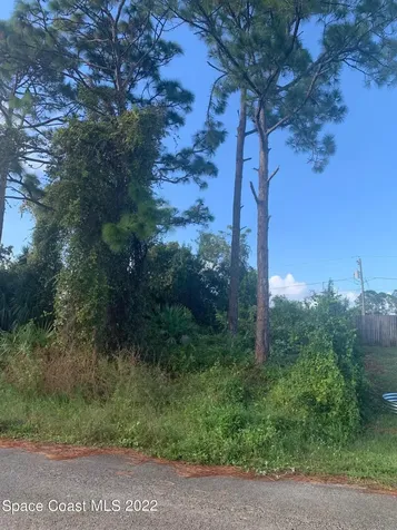 761 Indigo Street SE Palm Bay FL 32909