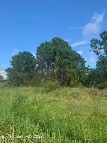 388 Dunlap Avenue SE Palm Bay FL 32909