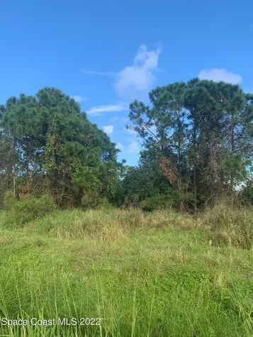 388 Dunlap Avenue SE Palm Bay FL 32909