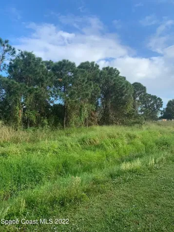 388 Dunlap Avenue SE Palm Bay FL 32909