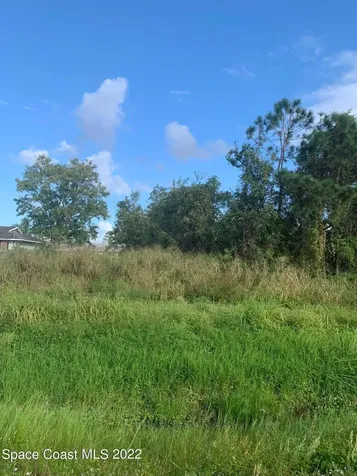 388 Dunlap Avenue SE Palm Bay FL 32909