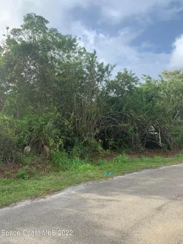 388 Dunlap Avenue SE Palm Bay FL 32909