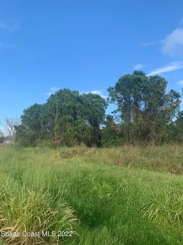 388 Dunlap Avenue SE Palm Bay FL 32909