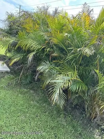 1401 Mcfarland Drive Melbourne FL 32904