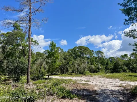 1142 Spangler Lane Titusville FL 32796