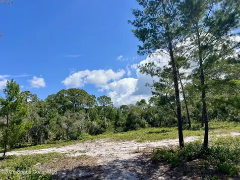 1142 Spangler Lane Titusville FL 32796