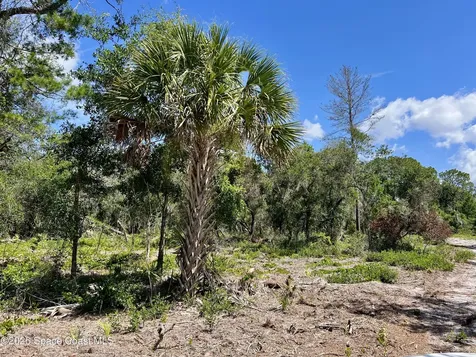 1142 Spangler Lane Titusville FL 32796