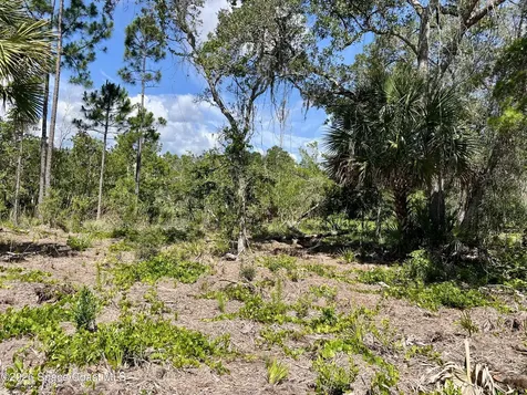 1142 Spangler Lane Titusville FL 32796