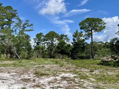 1142 Spangler Lane Titusville FL 32796