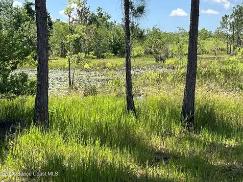 1142 Spangler Lane Titusville FL 32796