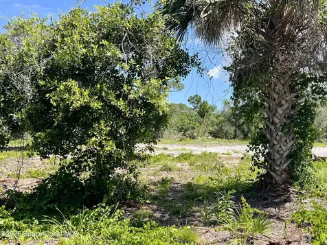 1142 Spangler Lane Titusville FL 32796