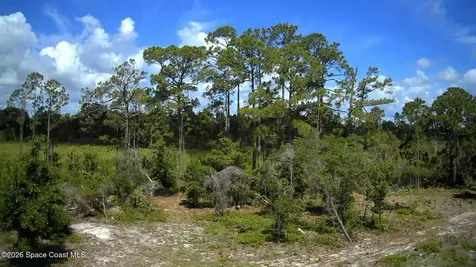1142 Spangler Lane Titusville FL 32796