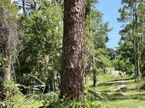 1142 Spangler Lane Titusville FL 32796