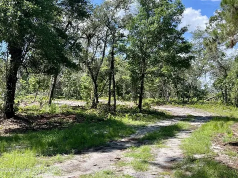 1142 Spangler Lane Titusville FL 32796