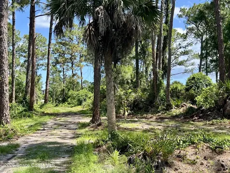 1142 Spangler Lane Titusville FL 32796