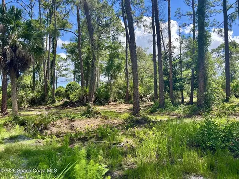1142 Spangler Lane Titusville FL 32796