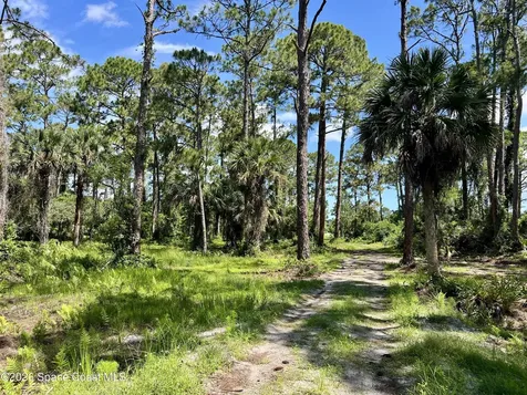 1142 Spangler Lane Titusville FL 32796