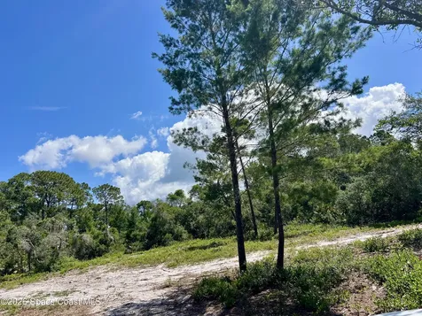 1142 Spangler Lane Titusville FL 32796
