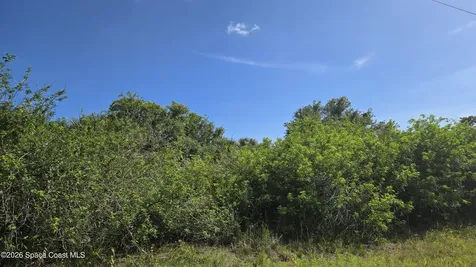 321 Buckskin Street Palm Bay FL 32909