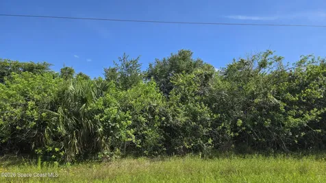 321 Buckskin Street Palm Bay FL 32909