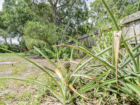 425 Banyan Street Sebastian FL 32958