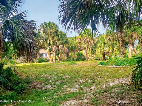 2859 Basil Avenue SW Palm Bay FL 32908