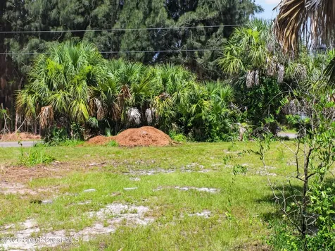 2859 Basil Avenue SW Palm Bay FL 32908